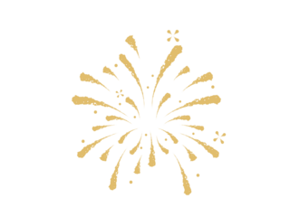 Fire work Golden Doodle, Celebration, Party Icon, Anniversary, New Year Event.