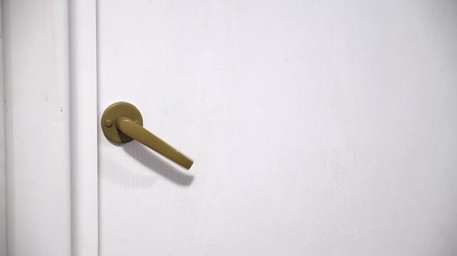 Turning the Doorknob. Pulling the door handle. A door latch is broken. The robber is trying to enter the room. Rush queuing to a toilet. A feeling of fear and anxiety, autophobia. B-roll. 4k footage.