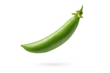 Single sugar snap pea pod floating on a transparent background image