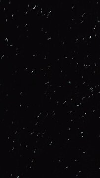 snow flakes slowly falling densely against black background. White snow overlay layer on black background, Real snow snowing on black background in cold winter season. Vertical