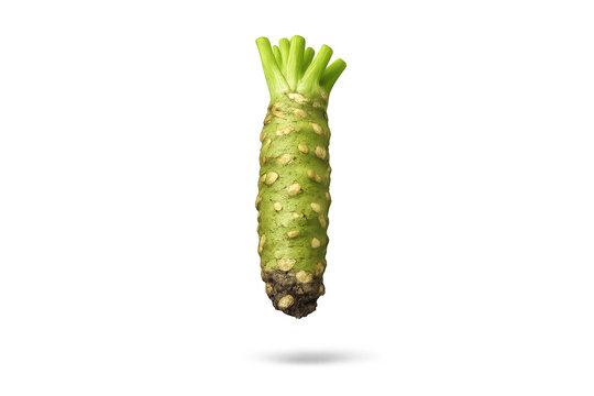 Fresh Wasabi Root on a transparent background for culinary creations