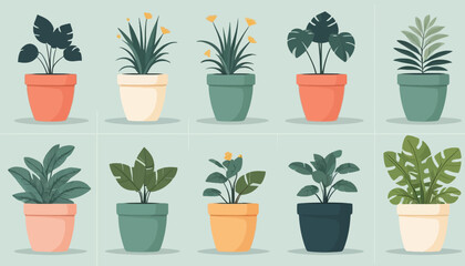 Fototapeta premium vector of plant on the pot