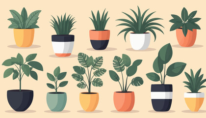 Fototapeta premium vector of plant on the pot