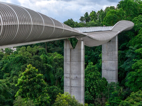 Aerial view of the Henderson Waves Bridge, a striking architectural ribbon amidst lush greenery, casting shadows and embracing the sky, Henderson Road, Singapore.