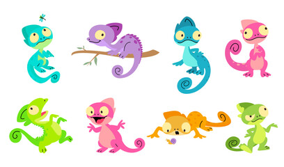 Chameleon. Different salamanders, lizards, chameleons various poses. Vibrant wild characters hunting, looking on insects, sitting on tree branch, nowaday vector set