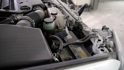 Car engine bay with battery and fluid reservoirs