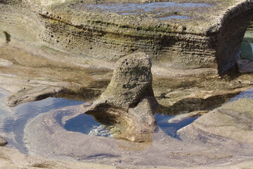 Gran Canaria, textures of the rocks of El Confital beach on the edge of Las Palmas de Gran Canaria, low tide
