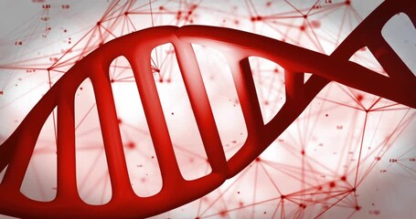 Processing scientific data, DNA strand and network connections in animation - Powered by Adobe