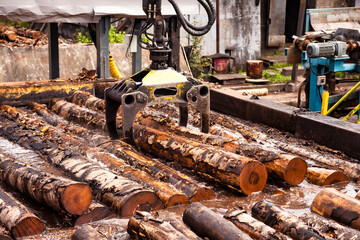 Treatment process of harvester log loader lifting up logs from hot water in manufacture plant. Wood in plywood mill outdoors, logging factory. Woodworking plywood industry concept. Copy ad text space