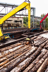Obraz premium Harvester log loader lifting up logs from hot water in manufacture plant, treatment process. Wood in plywood mill outdoors, logging factory. Woodworking plywood industry concept. Copy ad text space