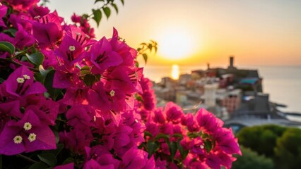 Vibrant pink bougainvillea flowers blooming against stunning sunset over coastal town