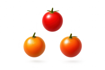 Three tomatoes on transparent background with vibrant colors and shadows