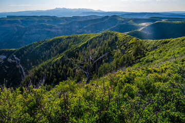 An overlooking view of nature in Mesa Verde NP, Colorado