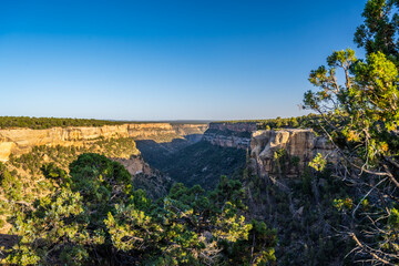 An overlooking view of nature in Mesa Verde NP, Colorado