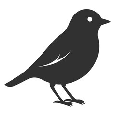 Obraz premium Distinct Avian Vector Artwork Variation 2