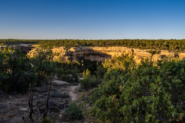 An overlooking view of nature in Mesa Verde NP, Colorado