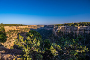 An overlooking view of nature in Mesa Verde NP, Colorado