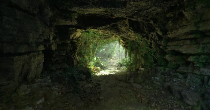 Sunlight streams into a dark cave, revealing vibrant greenery and ferns. The path leads deeper into the forest, inviting exploration and adventure. Shadows play among the rocks.