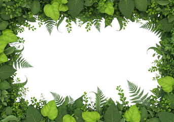 Vibrant green foliage surrounds a central black void offering a naturalistic backdrop