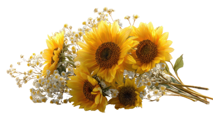 A vibrant bouquet, sunflowers and delicate white flowers, contrasted against a black background