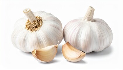 garlic isolated on white background