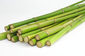 Fresh Bamboo Shoots Isolated on White Background