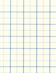 Clean simple graph paper, checked paper, gridded paper background. Vector. Notebook, sheet paper, seamless, page, cloth, chart, school book, paper. graphic, design background.
