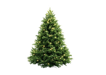 Digitally isolated evergreen conifer with festive string lights, perfect for holiday concepts