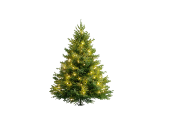 A vibrant, illuminated evergreen tree, against a solid black backdrop, festive and glowing