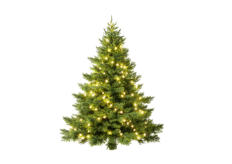 A vibrant, green Christmas tree, aglow with warm, twinkling lights, set against a black backdrop
