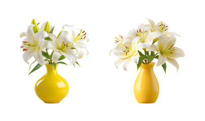 Two Striking White Lilies in a Glossy Yellow Vase isolated on a transparent background