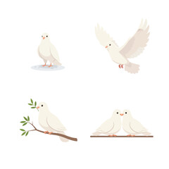 Obraz premium Set of white doves flying, perching, and holding olive branches, symbolizing peace and hope