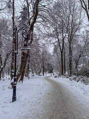 Snowy Park Path with Vintage Lamp Post Copy Space