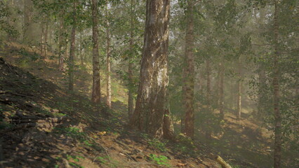 Fototapeta premium Sunlight filters gently through dense tree branches, casting soft light on the forest floor. A peaceful scene unfolds with lush greenery and earthy tones, inviting exploration and calm.