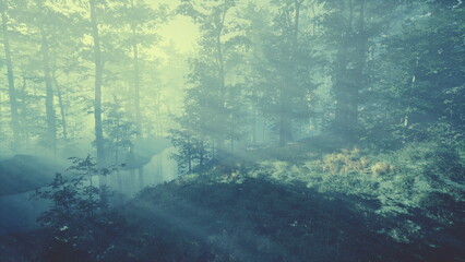 A serene forest scene unfolds with soft sunlight piercing through dense trees, creating mystical...