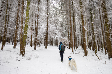 trekking in snovy winter forest