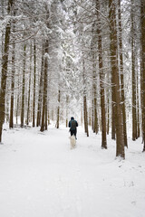 trekking in snovy winter forest