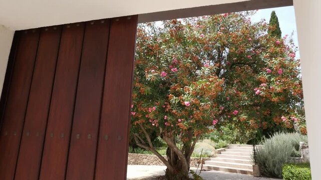 View from a large wooden gate towards a leafy tree of flowering oleanders and a stone staircase in the historic Nasrid Garden of V&eacute;lez de Benaudalla, Granada.