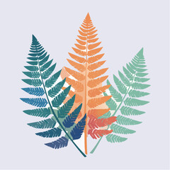 Stylized fern fronds illustration colorful botanical art for design projects