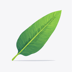 Green leaf illustration on white background vector design for various uses