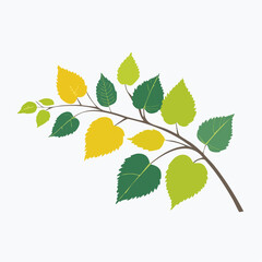 Branch with colorful leaves vector illustration for decorative and design use