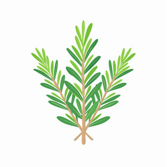 Illustrated sprig of green leaves isolated on white background for design element