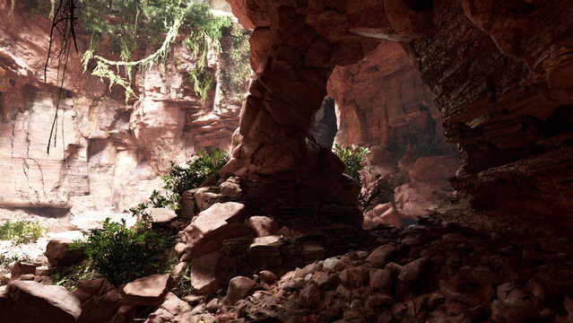 Nestled in a secluded canyon, vibrant plants thrive among the rocky landscape. Sunlight filters through, creating a peaceful atmosphere for exploration and discovery.