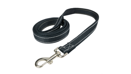 Dog leash made of durable material for walking pets isolated on transparent background cut out