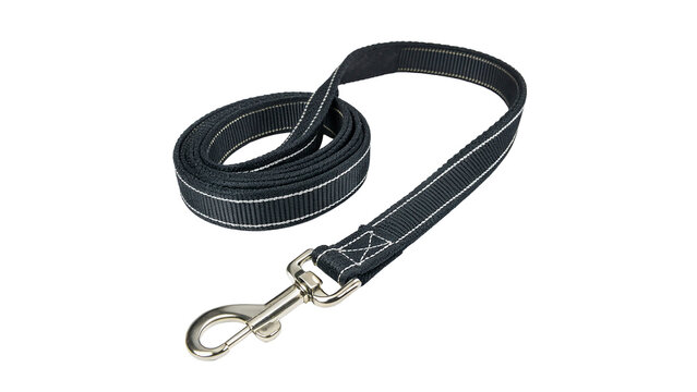 Dog leash made of durable material for walking pets isolated on transparent background cut out