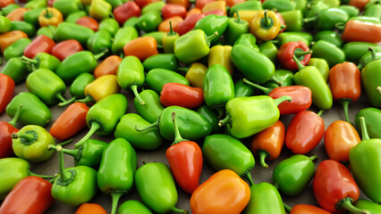 Close‑up expanse of small chili peppers in a mix of red, green, yellow, and orange, densely scattered across the surface with smooth glossy skins catching warm light, creating a vibrant, energetic, sp