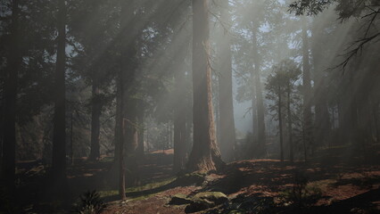 Obraz premium Bright rays of sunlight pierce through the tall trees, creating a magical atmosphere in the lush forest. Soft shadows dance on the ground as nature awakens in tranquility.