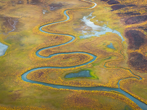 Aerial view of a winding river snaking through a tapestry of golden and green tundra, reflecting the sky's soft light, Trapper Creek, Alaska, United States.