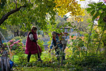 Dwie kobiety pracujące w ogrodzie podczas pięknej jesiennej pogody. © Monika