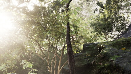 Bright sunlight breaks through the dense canopy, casting a warm glow on the vibrant leaves and rocky terrain, creating a tranquil atmosphere in the forest.